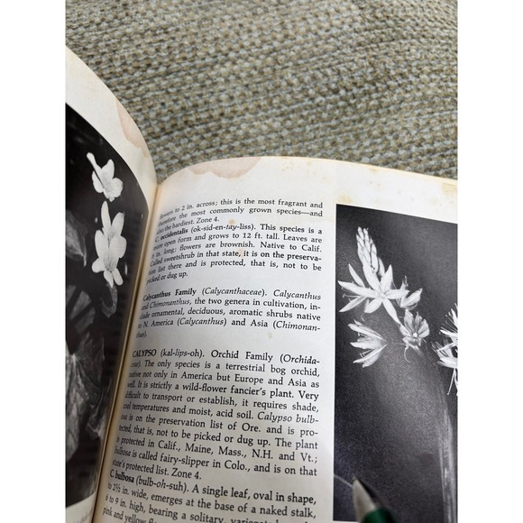 Good Housekeeping Illustrated Encyclopedia of Gardening 3 - Picture 4 of 9